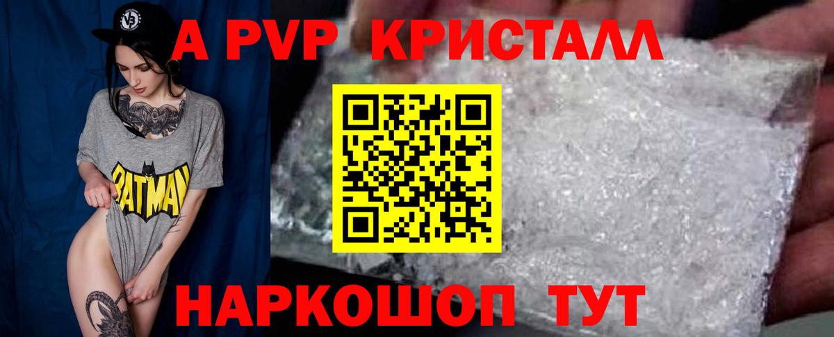 APVP СК Долгопрудный
